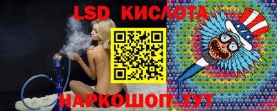 индика Обь