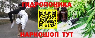 индика Обь