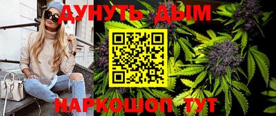 индика Обь