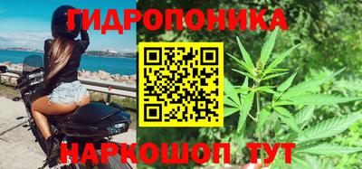 индика Обь