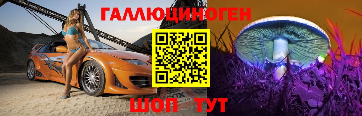 хочу   Галлюциногенные грибы Psilocybine cubensis  Галлюциногенные грибы Psilocybe  Вход с VPN  Сердобск 